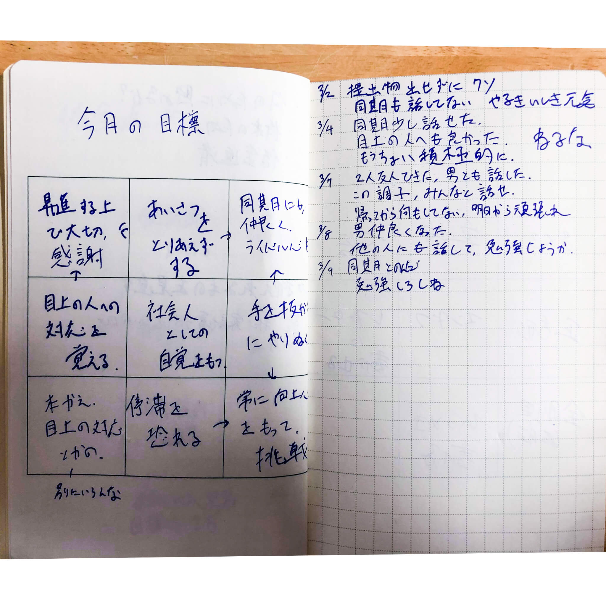 M9notes身近な記入事例 今月の目標 仕事が３倍速くなる魔法の９マスノート M9notes